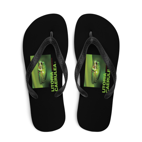 Litoria Caerulia Flip-Flops by Design Express