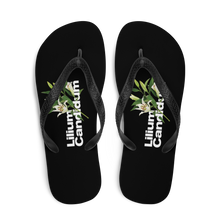 Lilium Candidum Flip-Flops by Design Express