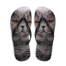 British Shorthair (Cat Lover) Flip-Flops by Design Express