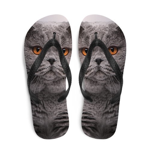 British Shorthair (Cat Lover) Flip-Flops by Design Express