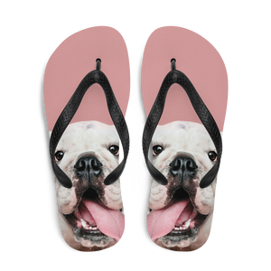 Cute White Bulldog Flip-Flops