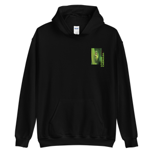 Litoria Caerulia Back Unisex Hoodie by Design Express