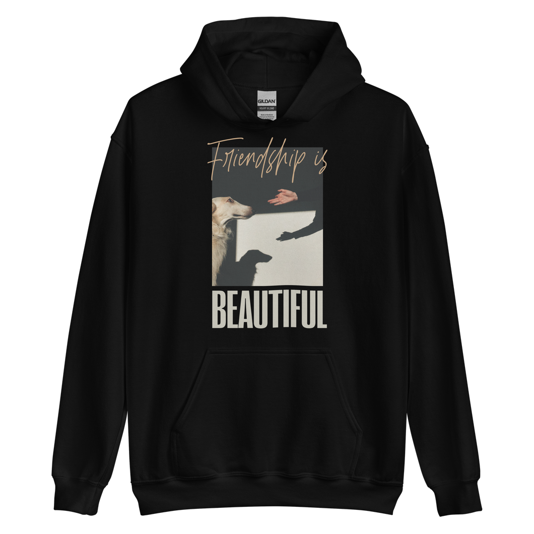 Black / S Friendship is Beautiful Unisex Hoodie Front by Design Express