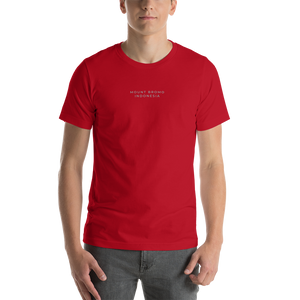 Red / XS Mount Bromo Unisex T-shirt Back by Design Express