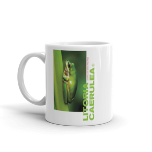 Litoria Caerulia White Glossy Mug by Design Express